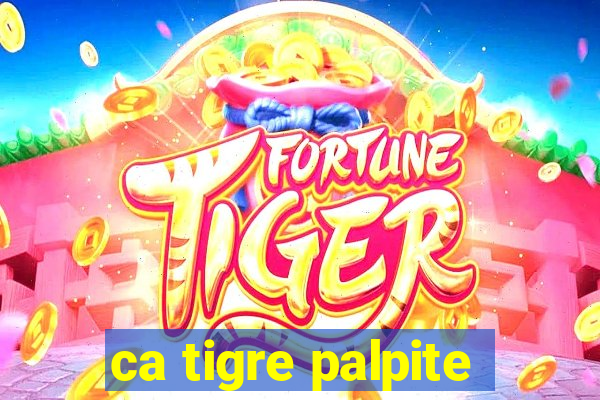 ca tigre palpite